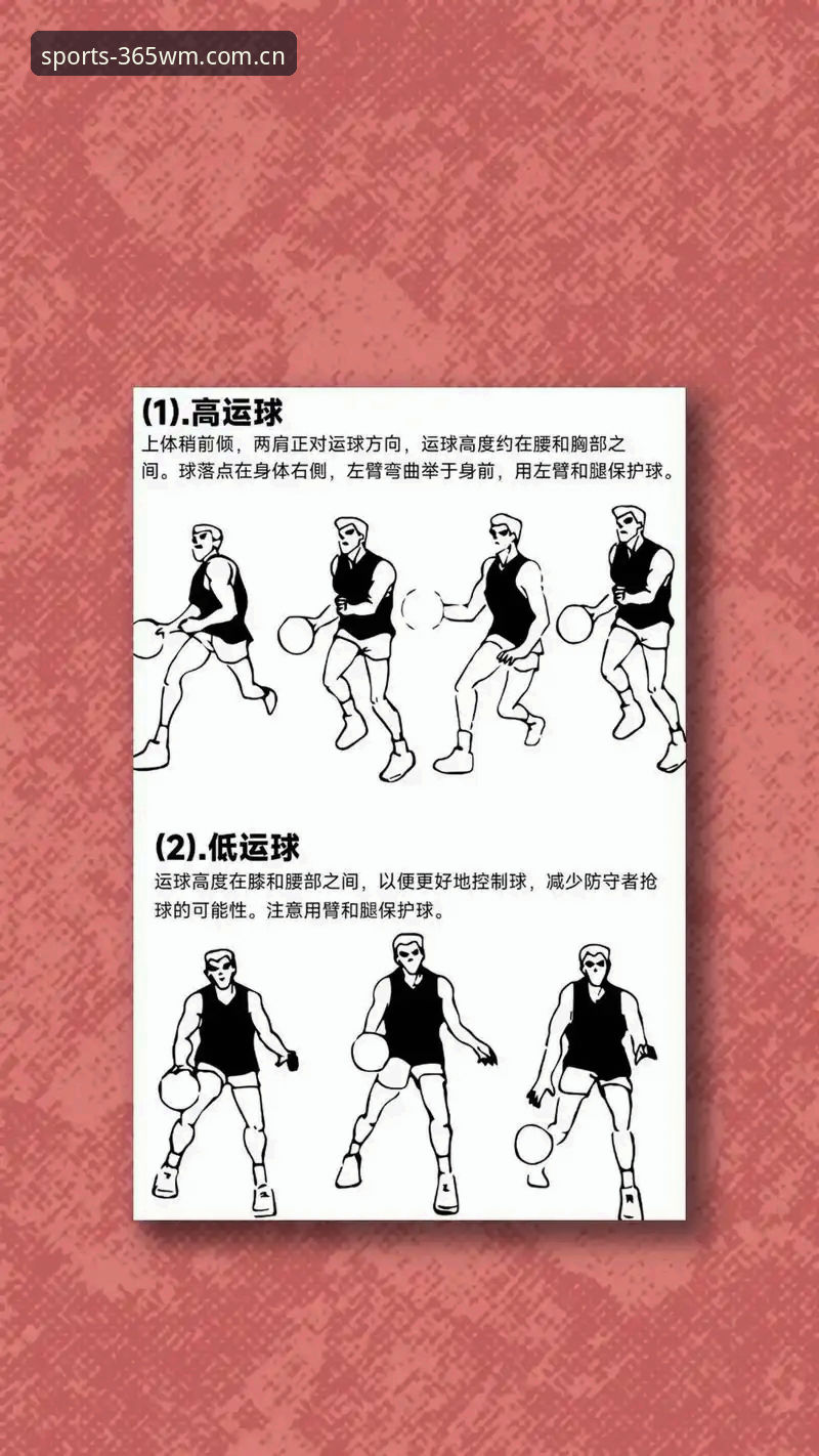 资深用户分享：完美体育投注技巧使用技巧，从新手到高手的实战经验
