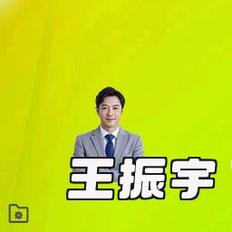 王振宇